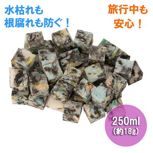 T|[gށEANAZL[u@250ml^18giH1×D1×W1cmj