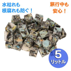 T|[gށEANAZL[u@5bgiH1×D1×W1cmj