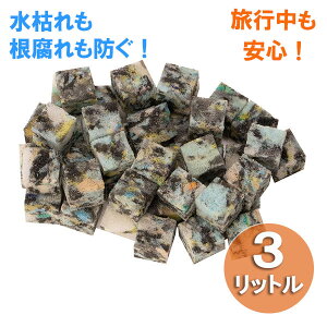 T|[gށEANAZL[u@3bgiH1×D1×W1cmj