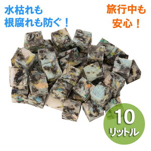 T|[gށEANAZL[u@10bgiH1×D1×W1cmj