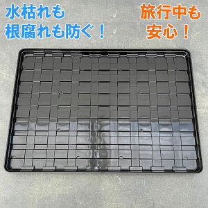 �����T�|�[�g���ށE�A�N�A�Z���g���[TFP-N24�i01��p�j�iH2×D32.9×W46.6cm�j 20���Z�b�g