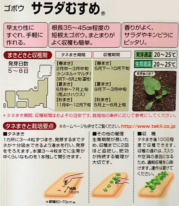 楽天市場 有効期限22年10月 ごぼう サラダむすめ 野菜タネ 園芸ネット プラス