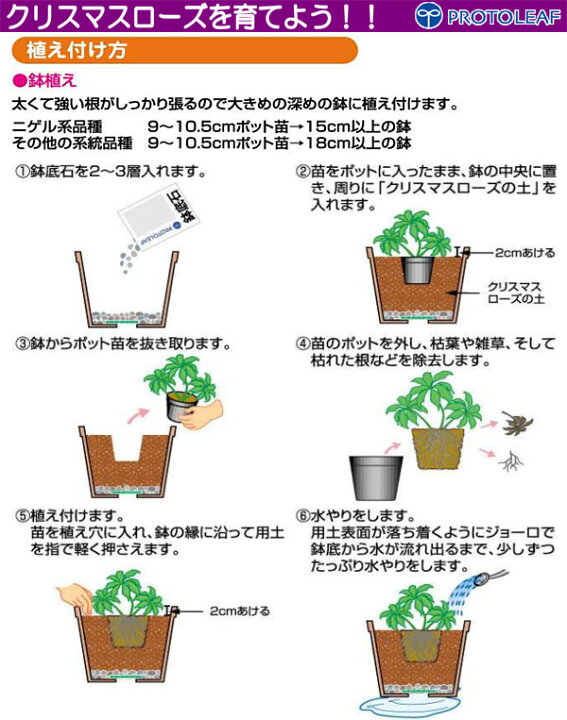 楽天市場】[送料無料]クリスマスローズの土 12L入り4袋セット（プロト 