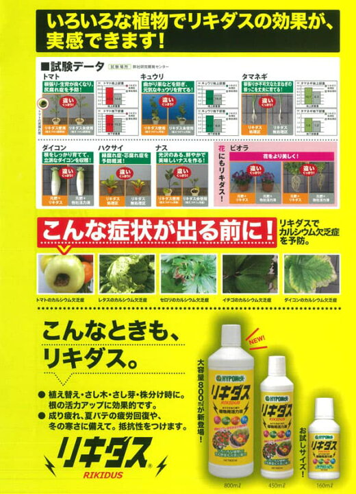 定価 ハイポネックス リキダス 800ml まとめ買い ハイポネックス リキダス 800ml 10個セット