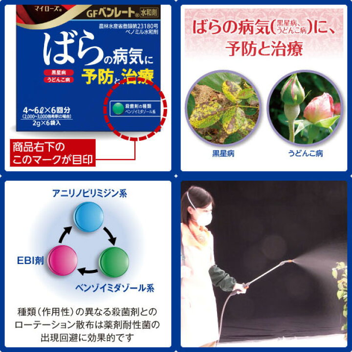 楽天市場 殺菌剤 マイローズ ベンレート水和剤 2g 6袋 バラのカビ系病気予防と治療 園芸ネット プラス