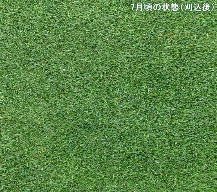 楽天市場 芝の種 西洋芝ペレニアルライグラス Pnw 1kg 園芸ネット プラス