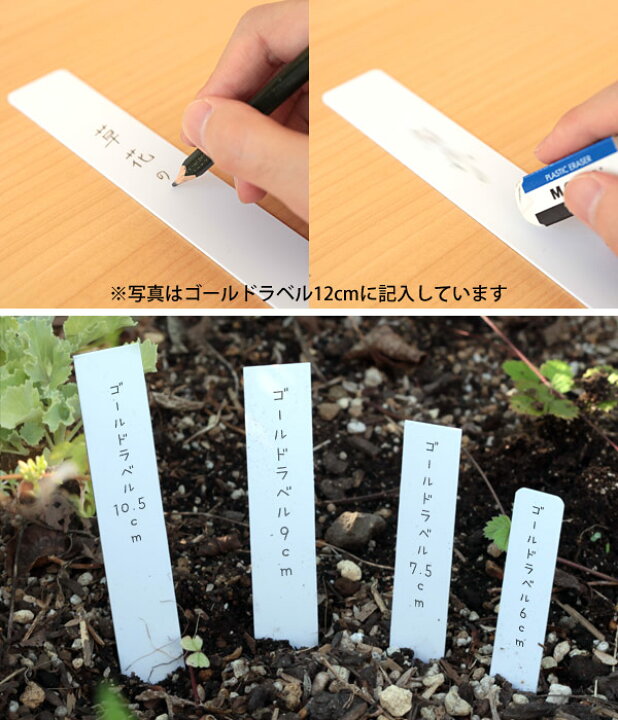 楽天市場】ゴールドラベル短冊型1.5cm×10.5cm 100枚入り(白) : 園芸ネット プラス 楽天市場】ゴールドラベル短冊型1.5cm×10.5cm 100枚入り(白) : 園芸ネット プラス