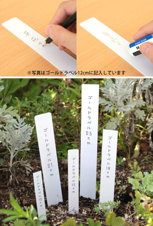 120円 いラインアップ ゴールドカラーラベル赤色1.9cm×15cm 50枚入り 120円 いラインアップ ゴールドカラーラベル赤色1.9cm×15cm 50枚入り