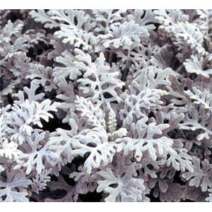 []ei_XeB~[EV^GMNj3|bg28Zbg