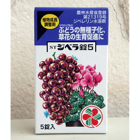 STジベラ錠5