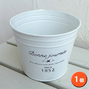 �t�����`�u���L�|�b�g�@���E���hL ���a15cm�i3140-B�j