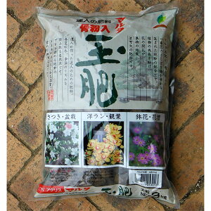Bl̔엿F}^ʔ 嗱3kg(5.3-4-1)