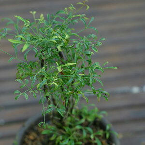 R쑐̕c/юViLVieEՎVjFBiGVEj2.5`3|bg