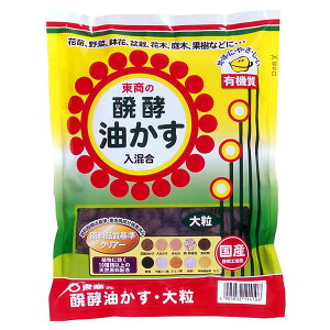 [��������]���y�������i���y�����j�嗱10kg(4-6-2)2�܃Z�b�g