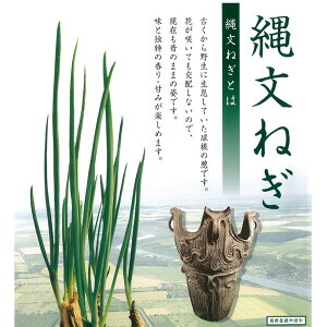 ؂̕c/Ђ̓ꕶlM3A2.5|bg