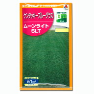 芝の種（少量パッケージ）：西洋芝ケンタッキーブルーグラス・ムーンライト（約1平米分）
