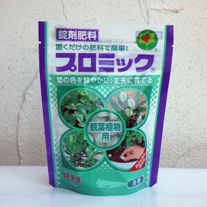 uFv~bNiϗtApj150g(10-8-8) 2Zbg