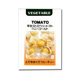 早生ストロベリートマト（食用ほおずき）ハニーゴールドの種3袋セット[野菜タネ]