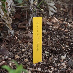 S[hJ[xF1.2cm×9cm 100 3(300)