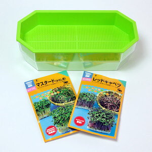 ₵EXvEgF2͔|ZbgibhLxcE}X^[hi炵؁jE͔|ej