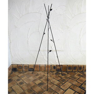 IxXNFVvIxXN(uE)FM-120BRi120cmj