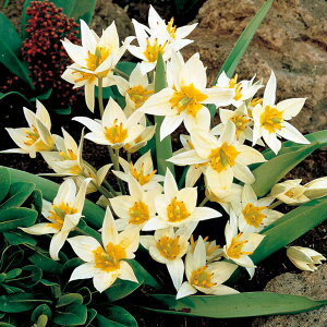 /`[bvinjFgPX^jJiᔒ΁j10 2܃Zbg