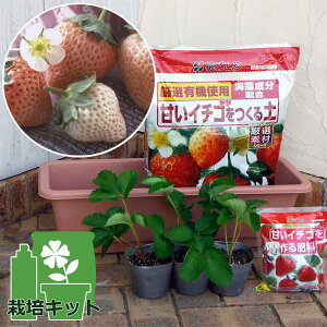 ؂̕c/v^[͔|FW{C`S܂Ղ23͔|Zbg