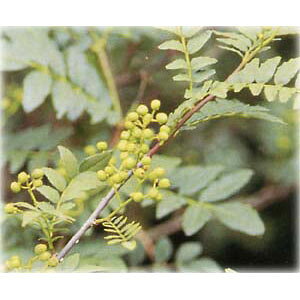 ؂̕c/RiTVEjFuhER4`5|bg*