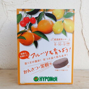 nC|lbNXFܔ엿 񂫂ʎp30i8-10-9j *