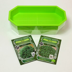 ₵EXvEgF2͔|ZbgiAt@t@EubR[E͔|ej