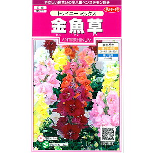 LM\EijFgDCj[~bNX̎[TJ^@ԃ^l]
