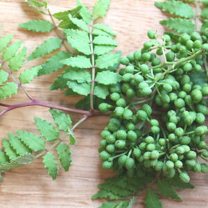 ؂̕c/RiTVEjFEgqR4|bg*