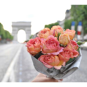 o̕c/fo[[YFEpWFk6pA*