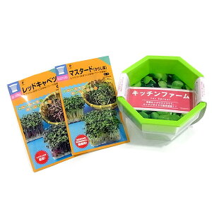 ₵EXvEgF2͔|Zbgi}X^[hEbhLxcE͔|ej