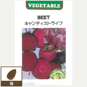 r[cFLfBXgCv[؃^l]