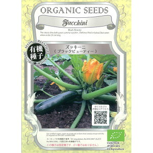 [��������]��؂̎�F�Y�b�L�[�j�i�u���b�N�r���[�e�B�[�j 2�Z�b�g[�[�΂̔����������E��؃^�l]