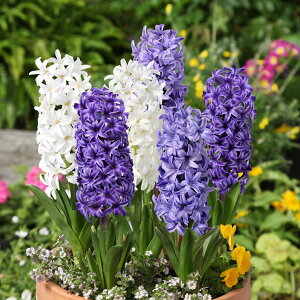 /qVXFOf[V}WbNFu[}WbN6iEEj