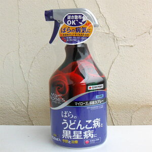 EEۍ܁F}C[Y EۃXv[950ml