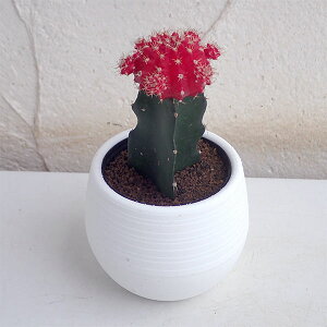 ϗtA/T{eFꉲOiq{^j3|bg3Zbg