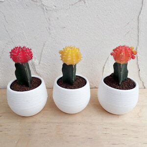 ϗtA/T{eFꉲOiq{^j3|bg3FZbgiEIWEԁj