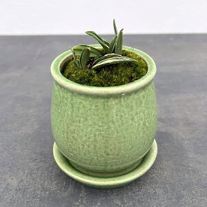 ϗtA/IgiNjF픫AiMtj^XeEhS