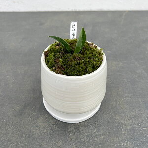 ϗtA/IgiNjFoEA^SEMt