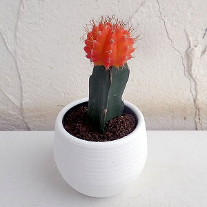 ϗtA/T{eFꉲOiq{^jIW3|bg3Zbg