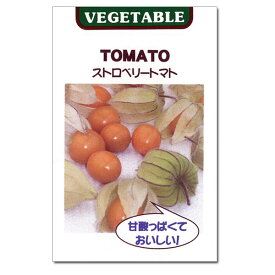 ストロベリートマトの種3袋セット（食用ほおずき　草丈150cm位）[野菜タネ]