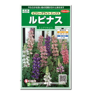 siXFsNV[fCg~bNX̎[TJ^@ԃ^l]