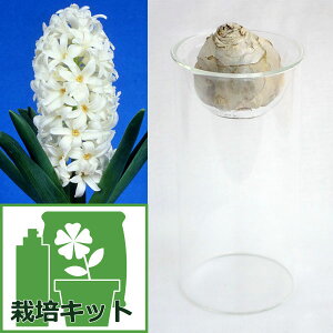 /qVX͔̐|ZbgFJ[lM[ijƃKX|bgO