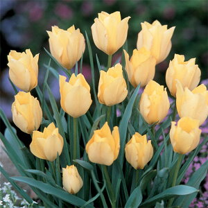 /`[bvinjFo^[juCgWF10