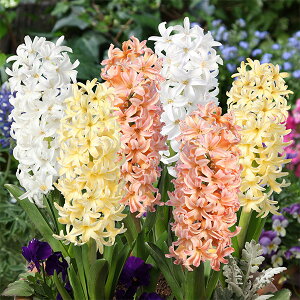 /qVXFOf[V}WbNFCG[}WbN6iEEj