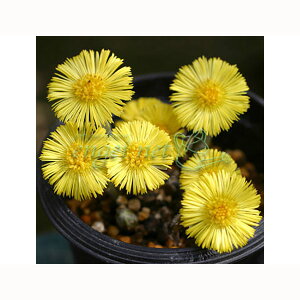 R쑐̕c/tL^||3|bg 2Zbg