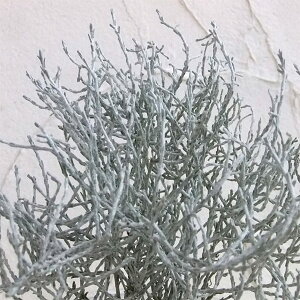 NbVubViv`[ij3|bg 4Zbg